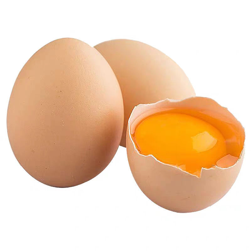 360 Pieces of Free-Range Eggs Wholesale, Fresh Farm-Raised Free-Range Eggs, Whole Box