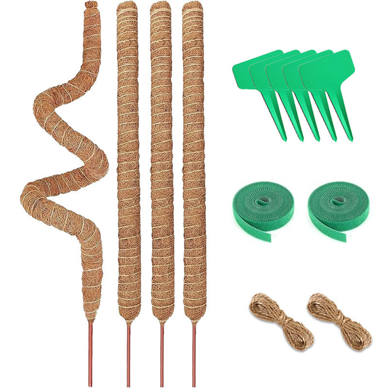 Bendable Moss Rod Plant Support Set Coconut Palm Fiber Rock Climbing Plant Stand Curved Coconut Palm Rod