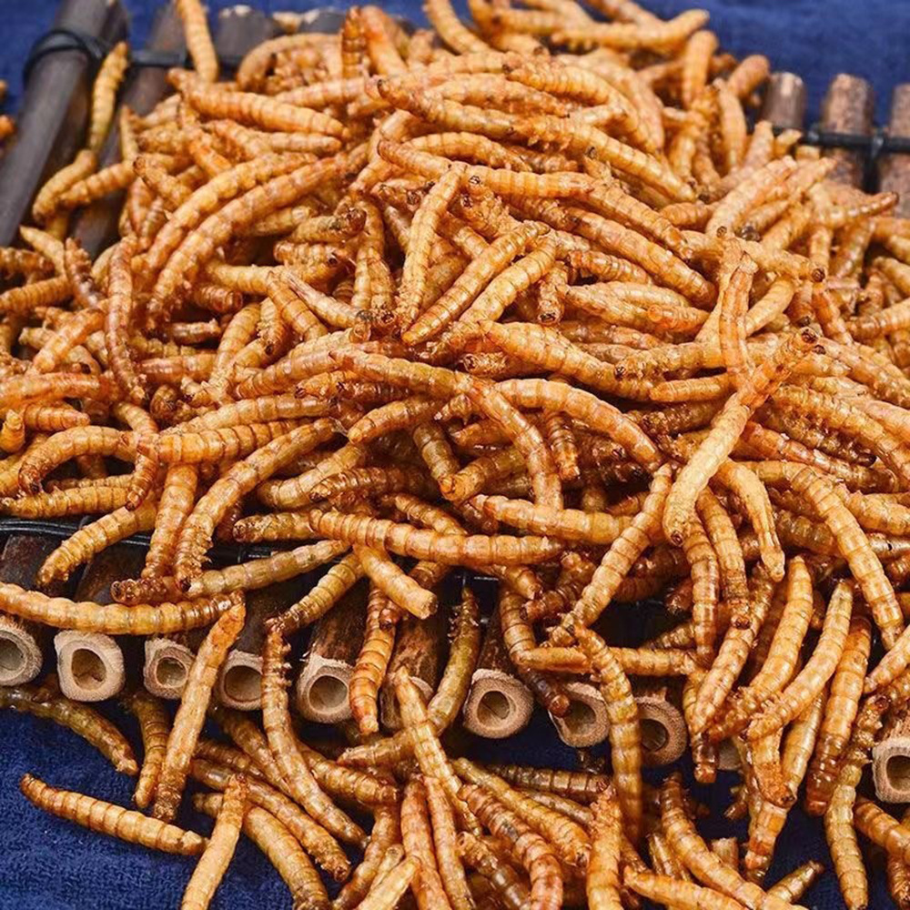 Wholesale Mealworm Mealworm Mealworm Barleyworm Dried Mealworm Dried 1 Ton Factory Direct