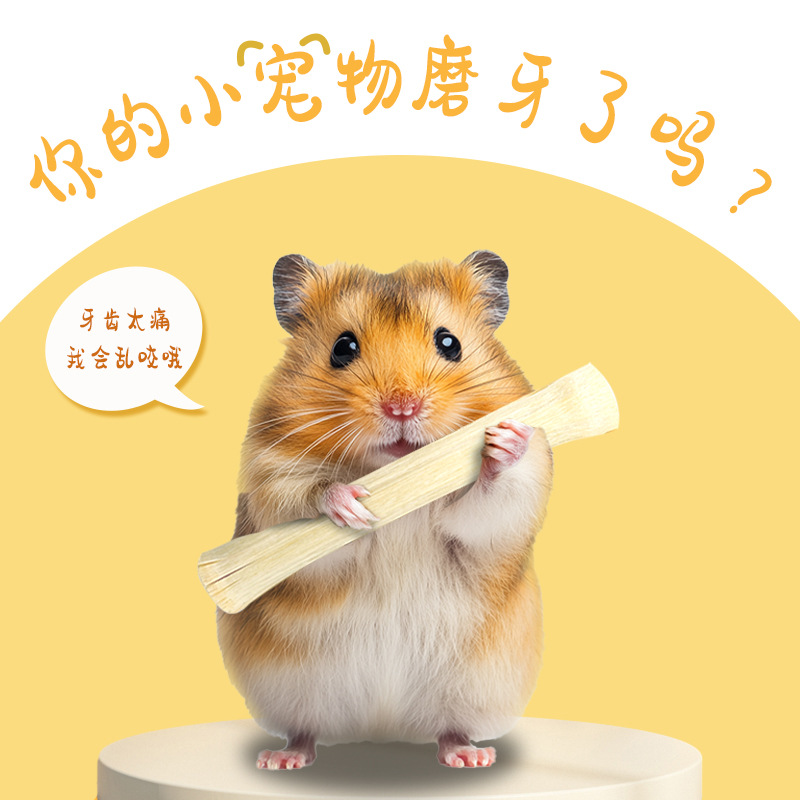 Hamster Molar Sweet Bamboo Rabbit Chinchilla Guinea Pig Universal Molar Snack Chewing Wood 1kg Pet Special Molar Sweet Bamboo