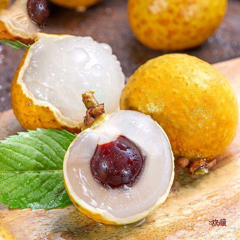 Freshly Picked Wholesale Fruits, Fresh Seasonal Longan, Fresh Fruits for Pregnant Women, Fresh Longan