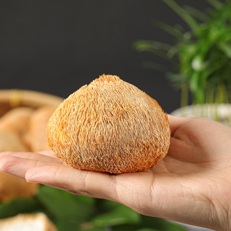 [Funyan] Hericium erinaceus Dry Mushroom Soup Hericium erinaceus