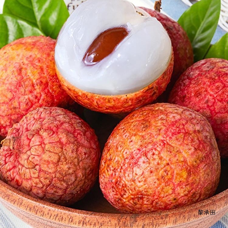 Fresh Lychee Frozen Hainan Feizixiao Lychee Gui Fresh Fruit for Pregnant Women Seasonal Fruit Sf Free Shipping 5kg