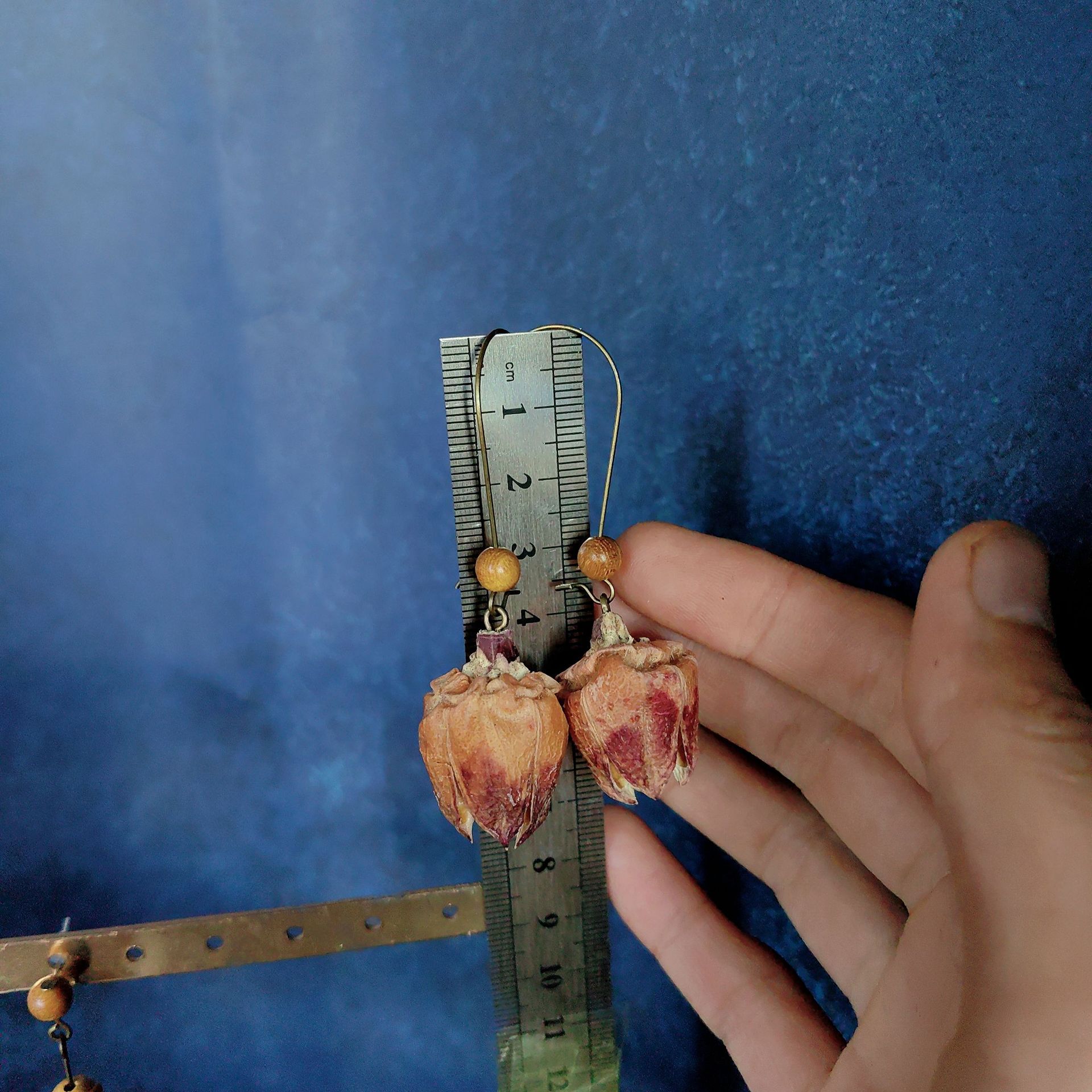 Plant Earrings Vintage Mori Pinecone Acorn Creative Long Wooden Natural Dried Fruit Tassel Ethnic Style Earrings