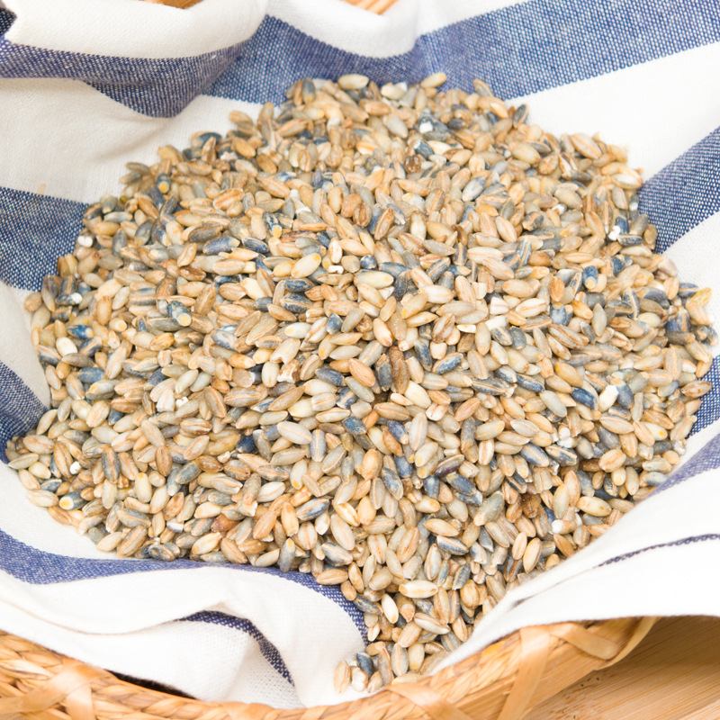 Helaxiang Highland Barley Rice Wholesale 500g Qinghai-Xizang Plateau Specialty Grain Coarse Grain Source Factory