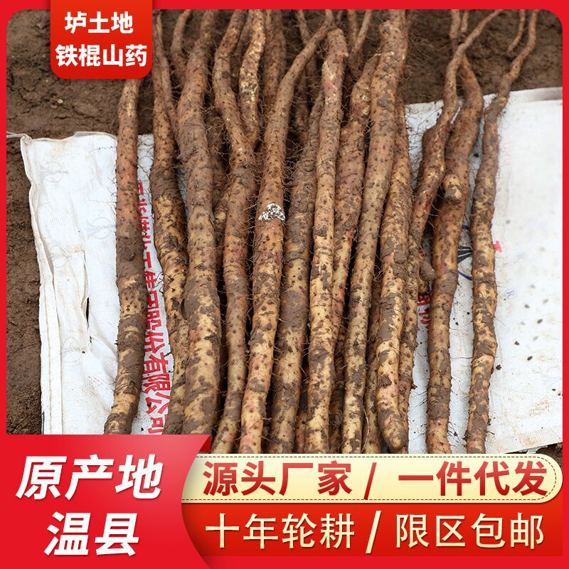 Ям, Хэнань, оптовая продажа, 1 штука 0.5 кг, полный ящик 2.5 кг, ям без цветков