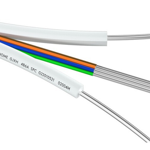 Fenghuo Indoor Single-Core Double-Core Leather Cable Optical Cable 1 Core 2-Core Metal Butterfly Cable Entry Fiber Optic Cable Starting from 2000m