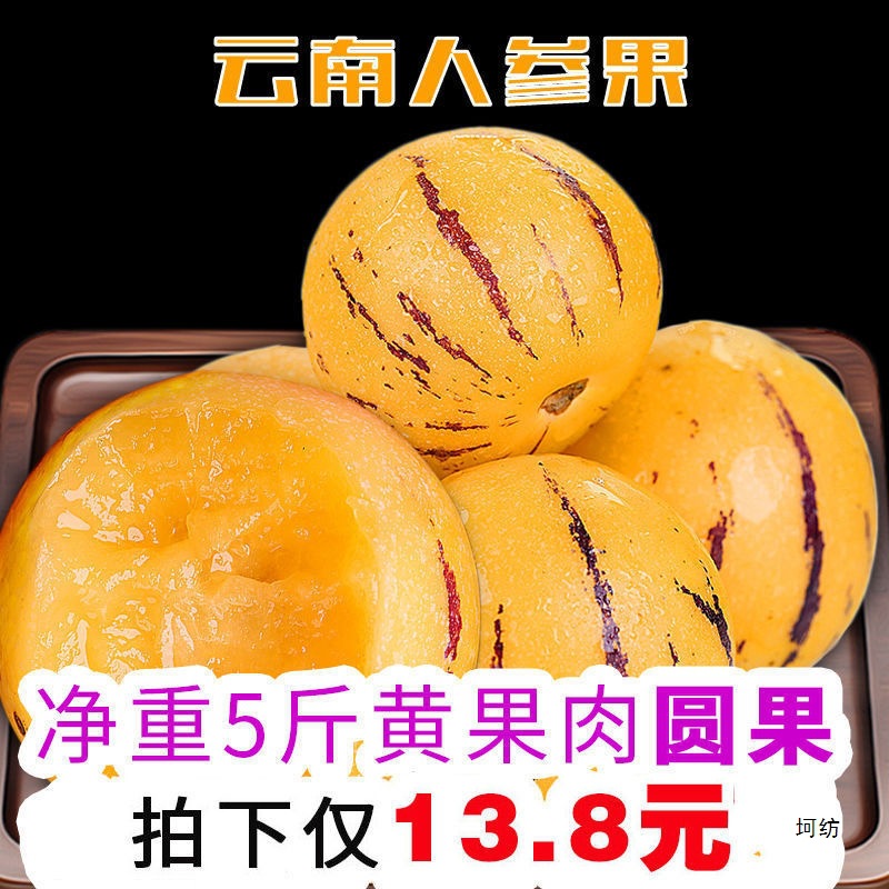 [Free Shipping] Ripe Stone Forest Ginseng Fruit on the Tree, Round Fruit, Yunnan Stone Forest Ginseng Fruit, Seasonal Fresh Fruit for Pregnancy