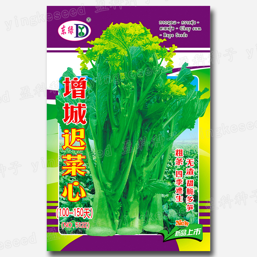 Zengcheng Chi Cai Xin Seeds 100-150 Days Chi Flower Beet Heart Seeds Wholesale Sweet and Crisp Bamboo Shoots Lianzhou Vegetable Moss Seeds