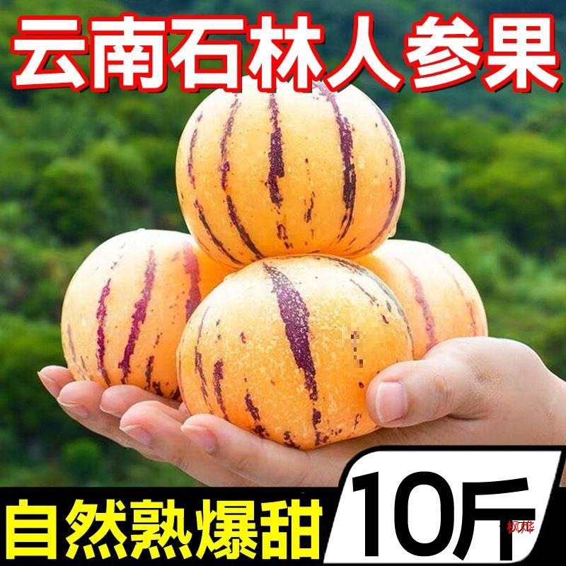 Yunnan Shilin Ginseng Fruit 5kg Fresh Fruit Doll Yellow Flesh Heart Fruit Life Fruit Round Fruit Seasonal Whole Production