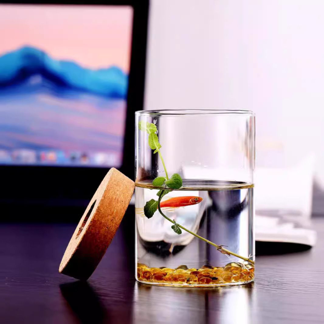 High Borosilicate Glass Straight Vase Green Rose Small Fish Tank Flower Arrange Hydroponic Landscape Flower Pot Vase Glass Ornaments