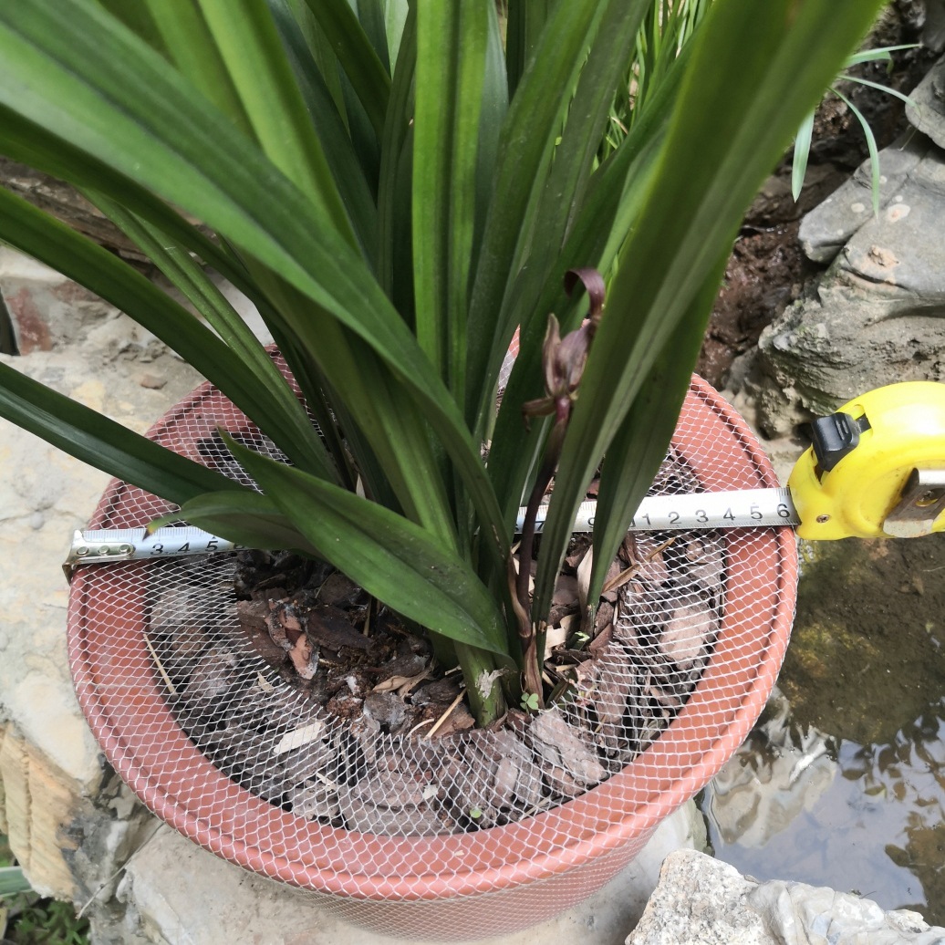 Orchid flowerpot protective net orchid planting stone anti-sprinkling anti-leakage net anti-leakage net cover Wuhan Hongkai factory outlet