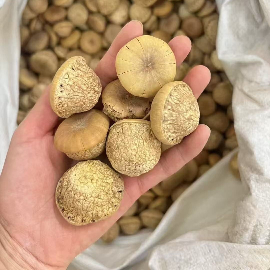 Оптовая продажа черепашьего плода, семена Тяньчжу, черепаший плод, фрукт Фенглю, новые поступления, поставка уличных торговцев, замоченные в вине и в порошке