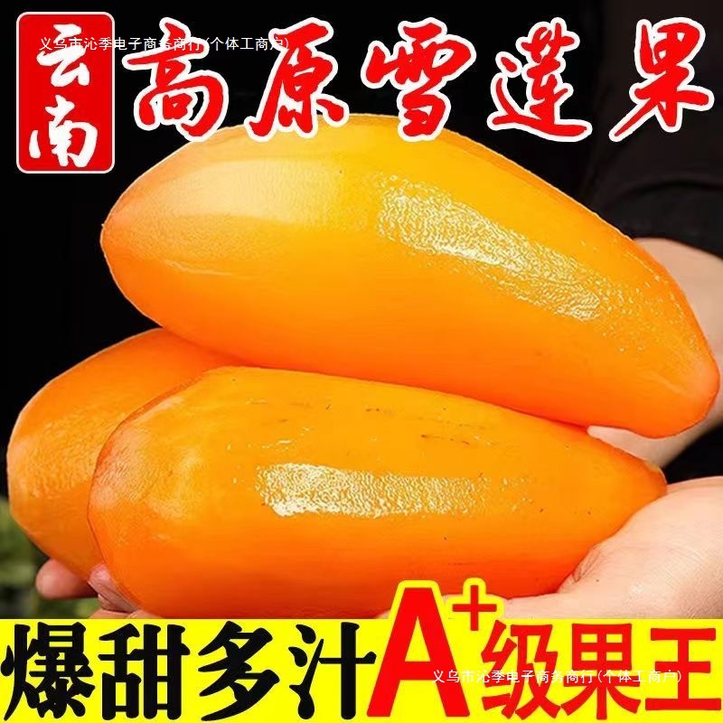 [Free Shipping Wholesale and Retail Yunnan Huangxin Tianshan Snow Yacon Fresh Fruit Whole Box Free Shipping One Third Other