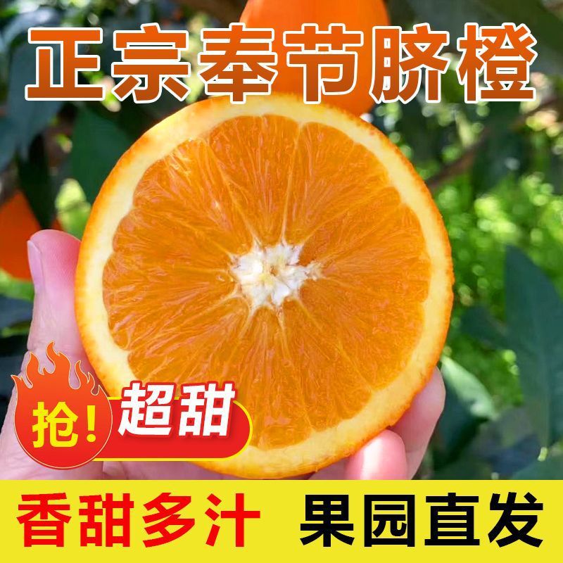 Chongqing Fengjie Newhall Tangerine Sweet 5kg Oranges Freshly Picked Fruit Gift Box 10kg Wholesale from Factory