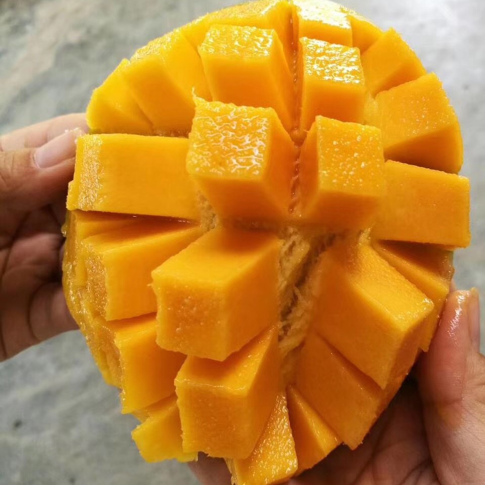 『 Panzhihua Kate Mango』Green-Skinned Yellow-Skinned Random Mango Meat with Sweet Juice and Sichuan Freshly Picked Seasonal Fruits