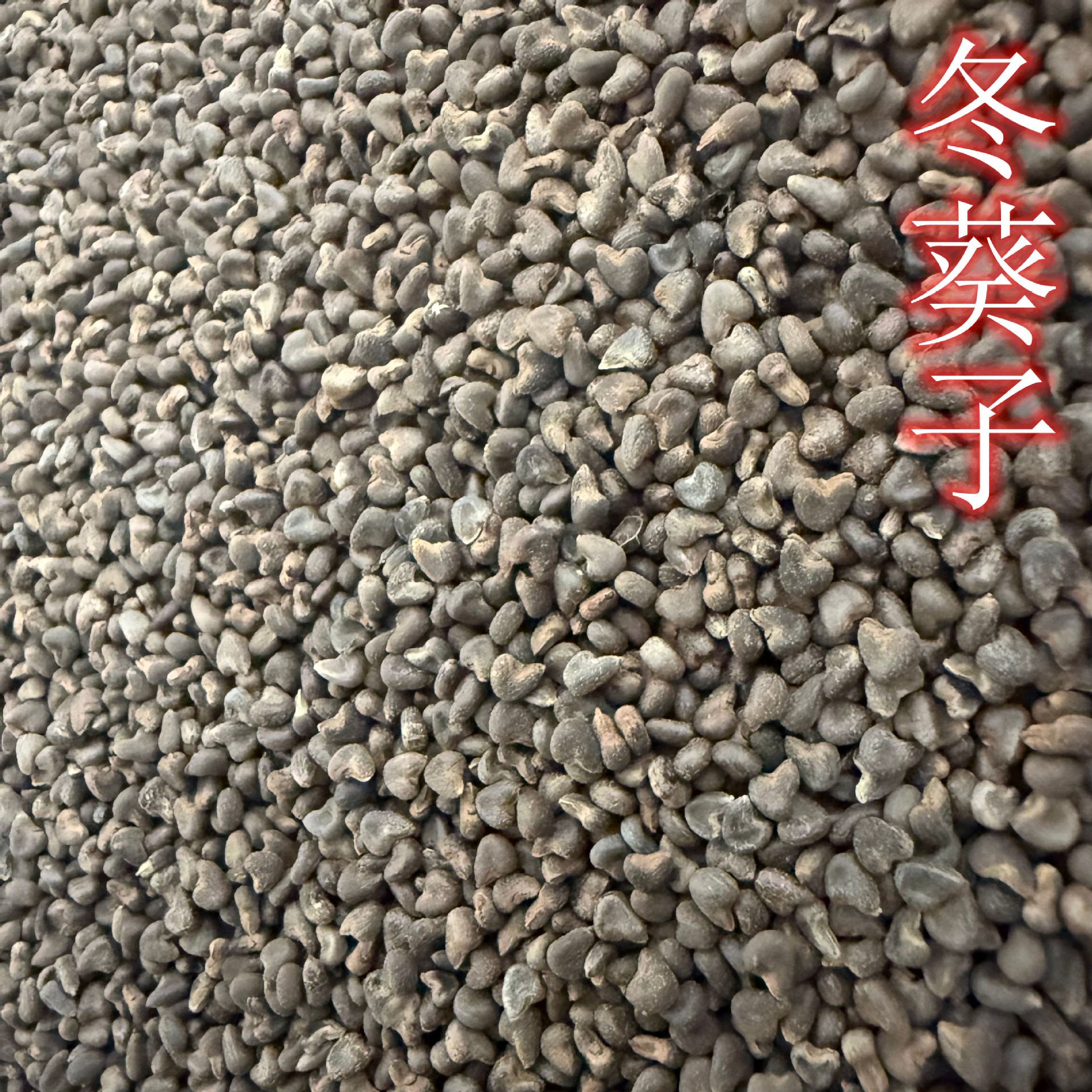 Зимние семена подсолнечника, зимние семена подсолнечника, семена подсолнечника, семена подсолнечника, реальная фотосъемка продукта, большая оптовая скидка