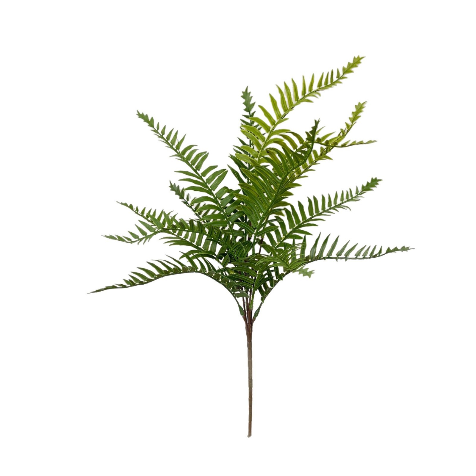Simulation green soft glue fern small fern landscape arrangement fern fern flower arrangement green plant Persia