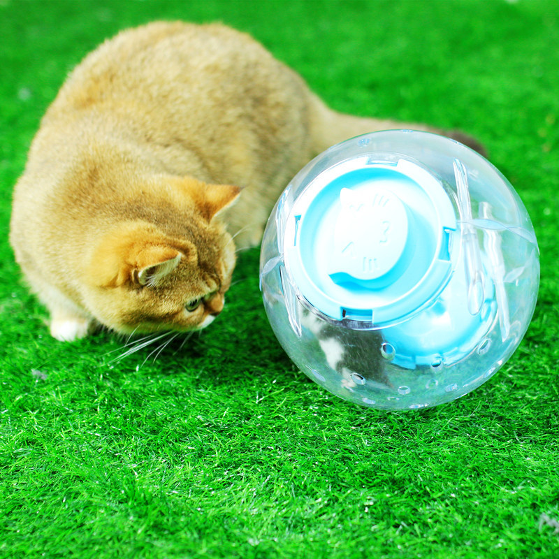 Flower Season Hamster Running Ball Toy Transparent Rolling Ball Golden Bear Crystal Running Ball Hamster Supplies Running Ball Manufacturers