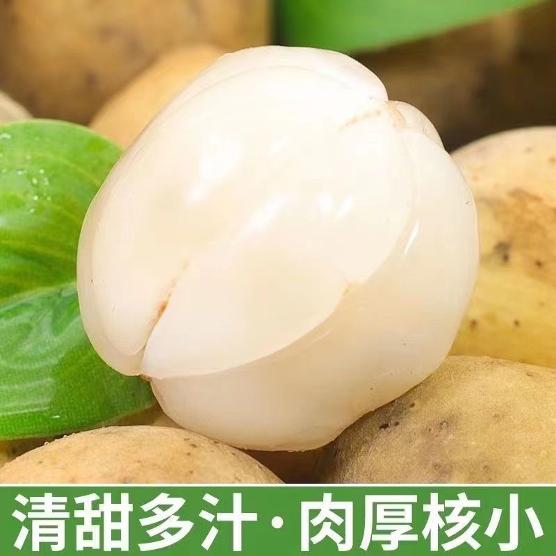 [Sf Express] Thailand Long Gong Fruit Imported Fresh Fruits Seasonal Tropical Fruit Long Gong Love Fruit Free Shipping