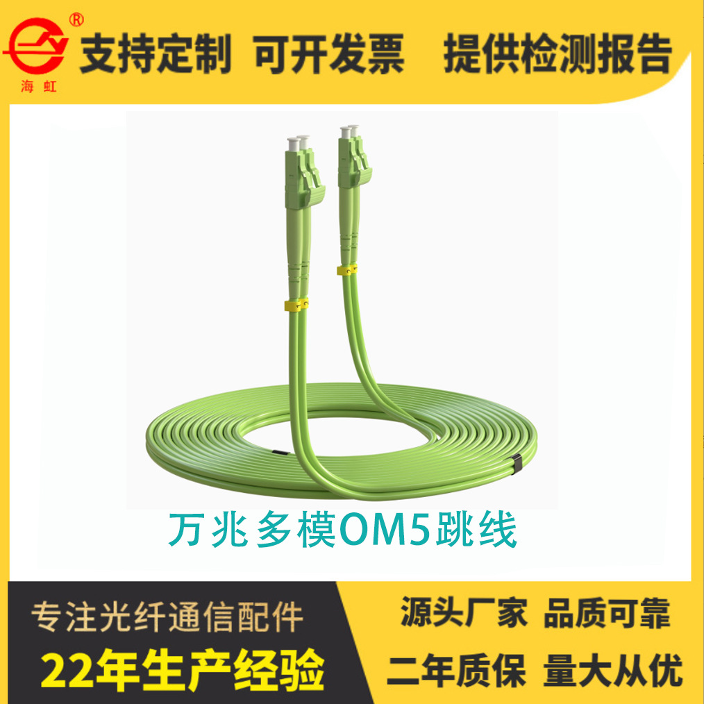 Engineering Telecom Grade LC-LC 10 Gigabit Multimode OM5 Single-core Dual-core Fiber Jumper Two-core Duplex Data Center