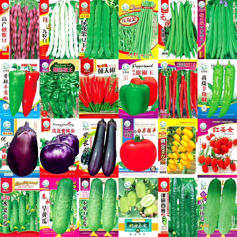 Семена овощей для посева в горшках на все сезоны, балкон, зелень, фасоль, салат, лук, шпинат