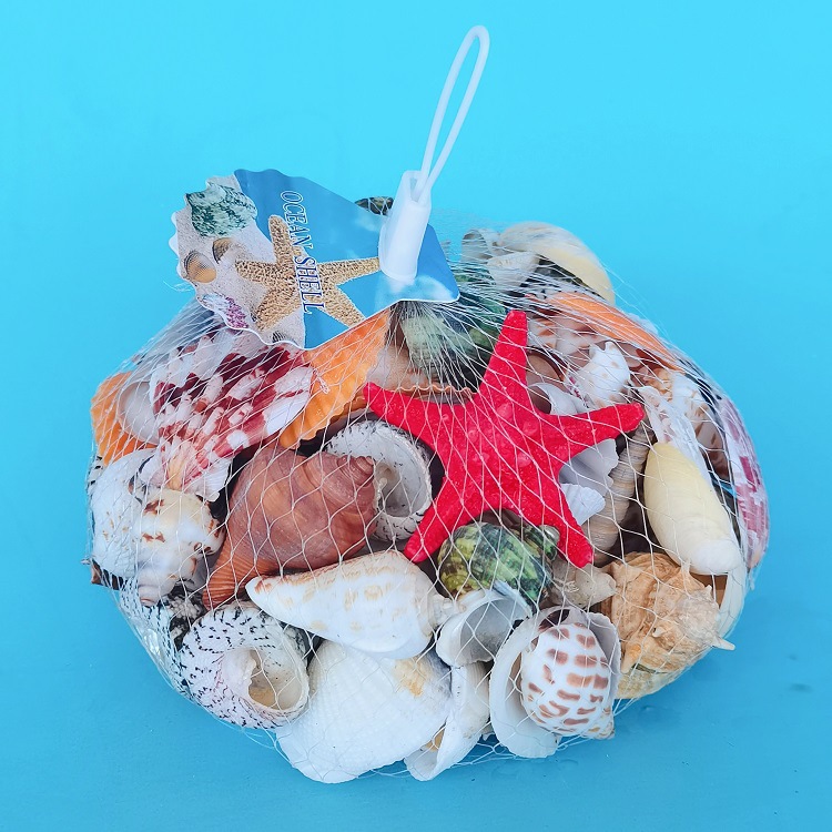 natural shell conch sea star aquarium landscaping micro landscape accessories diy handmade shell material