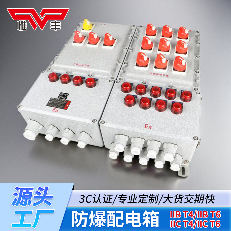 Explosion-Proof Box Distribution Inspection Terminal Box Instrument Positive Pressure Cabinet Button Control Switch Terminal Box Socket Box Manufacturer