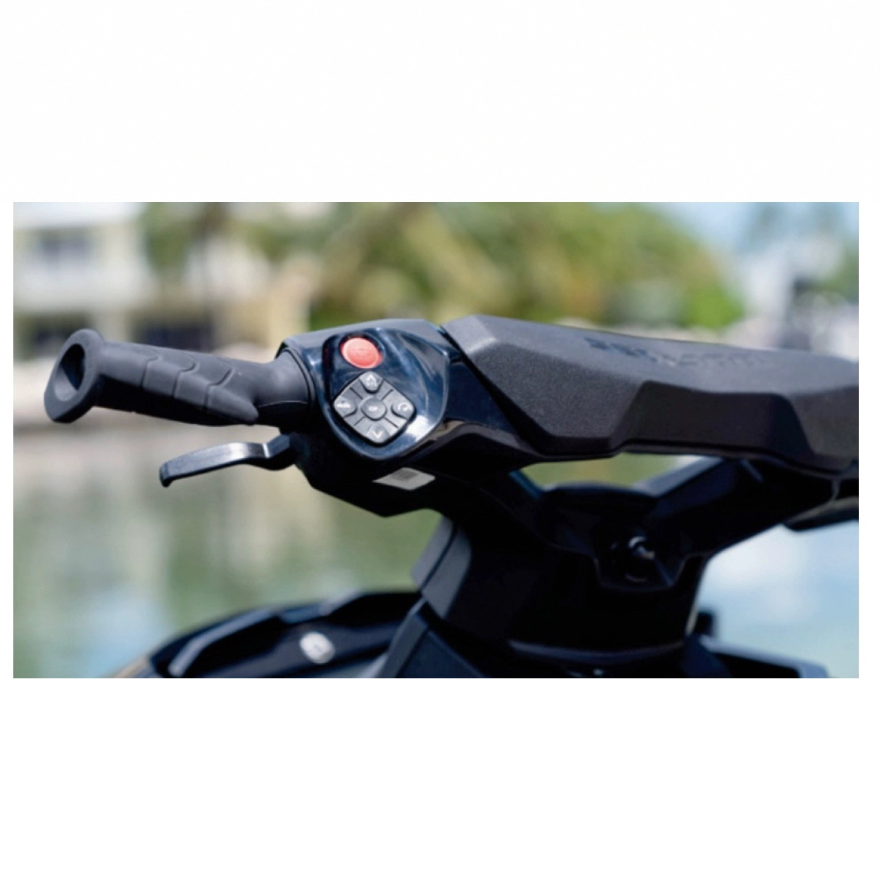 High-Speed Water Motorcycle Large Displacement Water Motorcycle Gtx 230 Water Entertainment Equipment Cruise Boat Seadoo