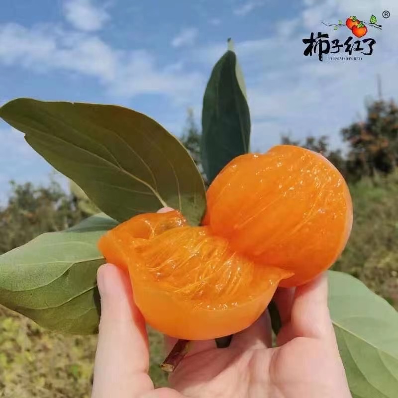 Хурма красная Фупин, хурма, пирог, жареная хурма, сладкая восковая хурма, конусная хурма, динамическая морозная хурма