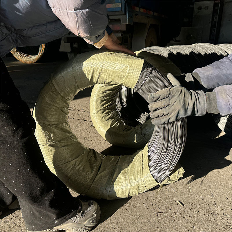 Manufacturer Wholesale Nail-Making Iron Wire, Cold-Drawn Bright Wire, Complete Specifications, Fence Net Raw Material, Steel Bar Hard Wire in Stock