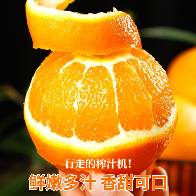 Newhall Three Gorges Early-Maturing Ziguui Navel Oranges, Seasonal Large Fresh Oranges, Hand-Peeled Sweet Oranges, Wholesale and Dropshipping