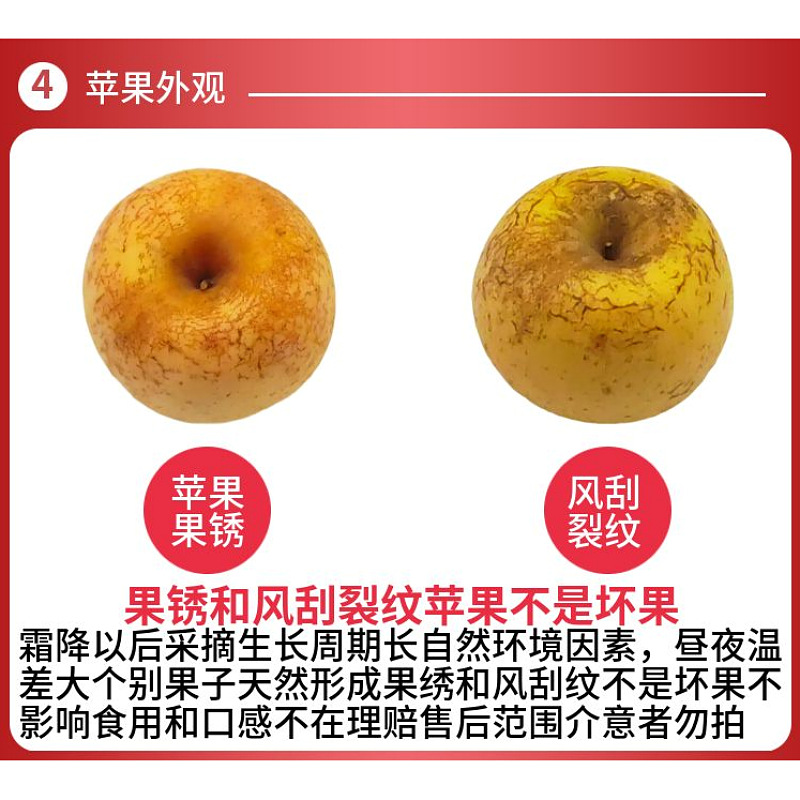 Authentic Shandong Yantai Golden Cream Apples, Seasonal Whole Box 5/ 5kg , with Fruit Embroidery, Cracked Skin, Rock Candy Core, Ugly Apples