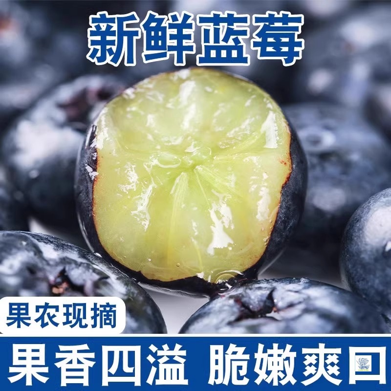 Blueberry Fresh Fruit Seasonal Whole Box Yike Yunnan Fresh Fruit Freshly Picked Extra Large Fruit Sf Free Shipping