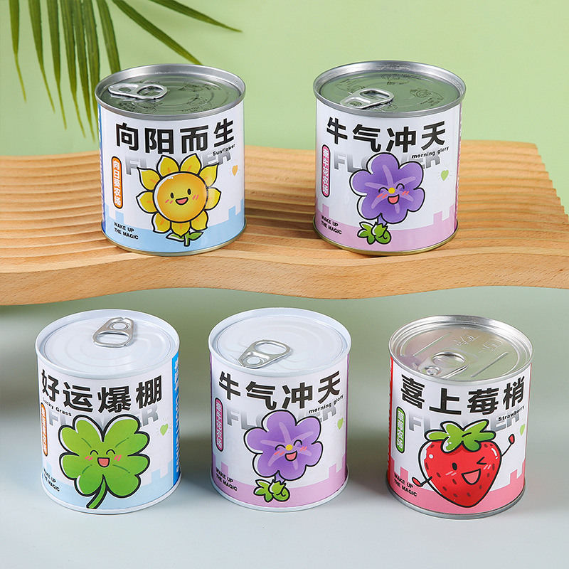 Canned Planting Mini DIY Popular Planting Small Potted Jar Student Creative Gift Potted Plant Blind Box