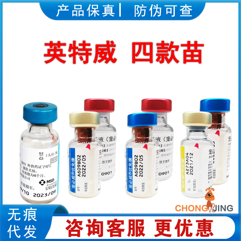 Нидерланды Интвей 246 Живая Вакцина Питомец Интвей Импортированная Питомец Собачий Чумка Маленький Меркадон