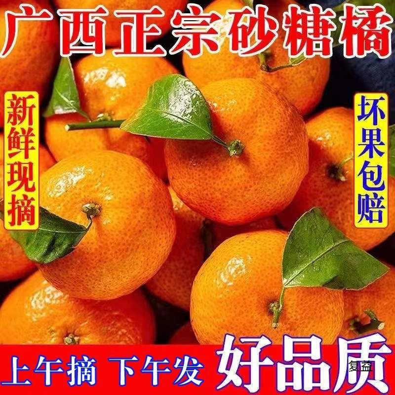 Свежий фрукт сахарного апельсина из Гуанси, маленький апельсин, супер сладкий, сезонный мандарин для беременных