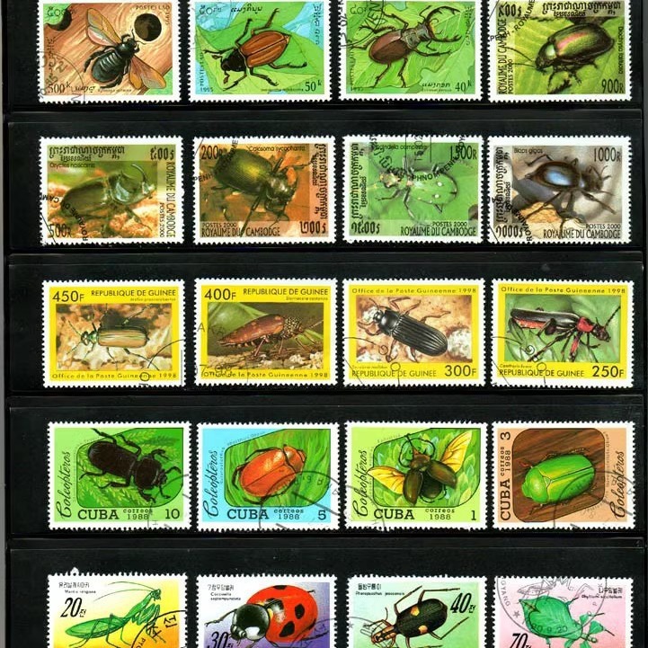 Insect Stamps 50 Pieces, Non-Duplicate, 50 Kinds of Insects, Beetles, Ladybugs Stamps, Overseas Original and Authentic