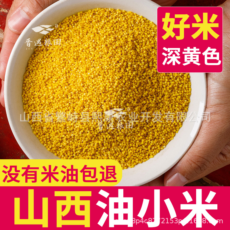 Shanxi millet new rice farm month millet sheep fat yellow millet authentic Jin gu 21 yellow millet own farm