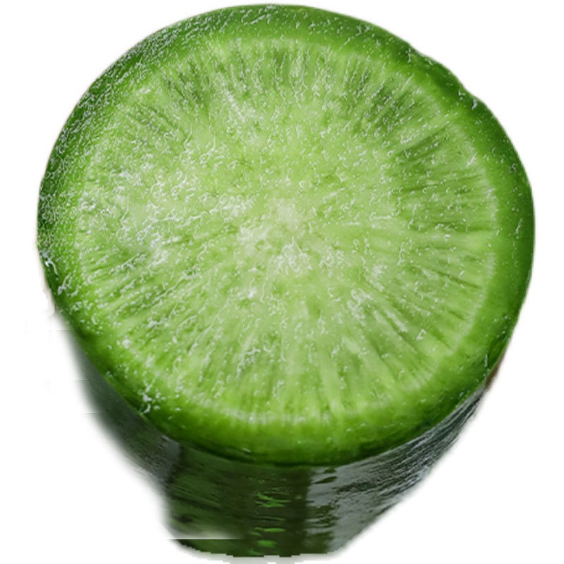 Manufacturer Wholesale Autumn Radish Cabbage Lettuce Rapeseed Color Bag Original Seed Cabbage Seeds Seedlings Vegetable Seeds