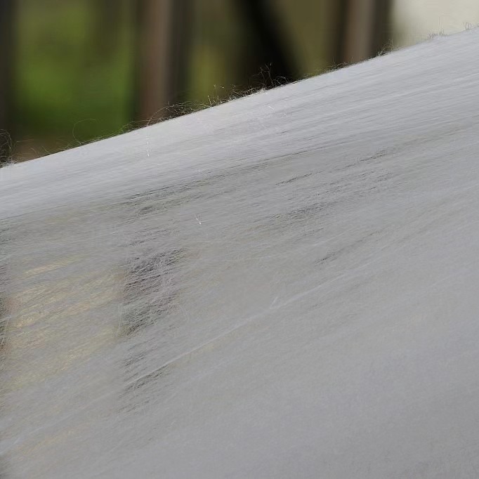 Tongxiang Silk Manufacturer Double Palace Cocoon Mulberry Silk Light Tire Raw Material Silk Quilt Wholesale