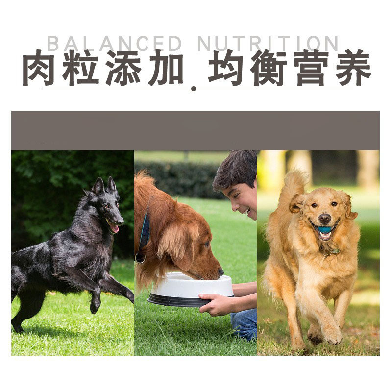 Captain Wang Wang factory wholesale natural food adult dog puppy dog food Samotedi golden retriever dog food small dog