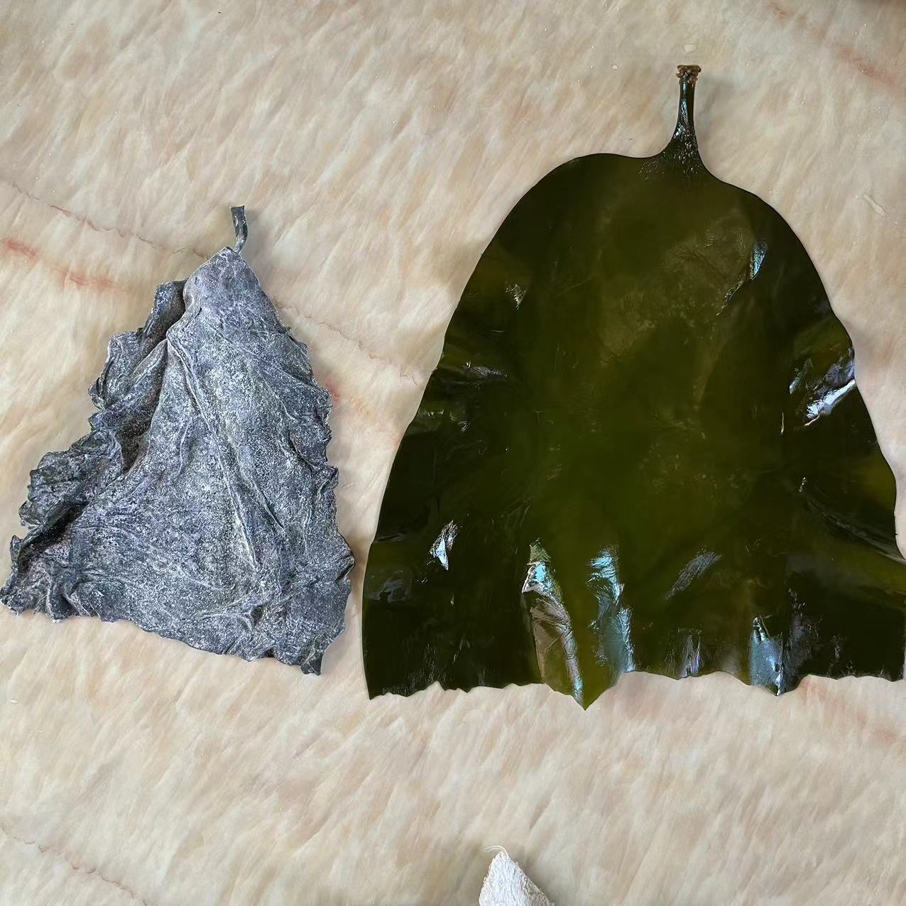 Fujian Xiapu Kelp, Salted Semi-Dried Kelp, Fresh and Additive-Free, Direct Supply from the Manufacturer, Large Quantity, Favorable Price, Seaweed