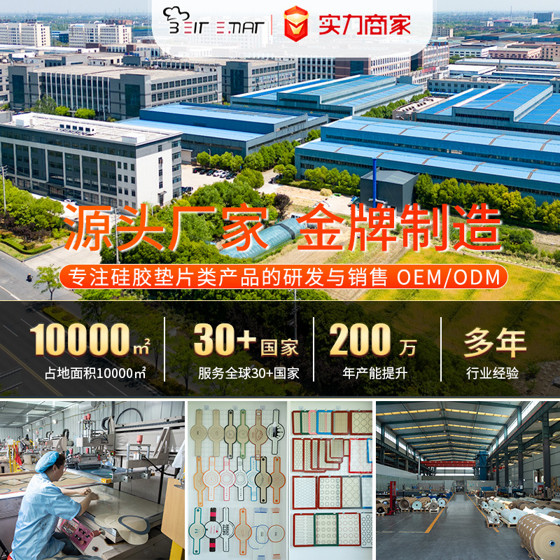 Popular Fda+Lfgb Dual-Certified Silicone Baking Mat, High Temperature Resistant 260 ℃ Cross-Border Hot-Selling Baking Mat