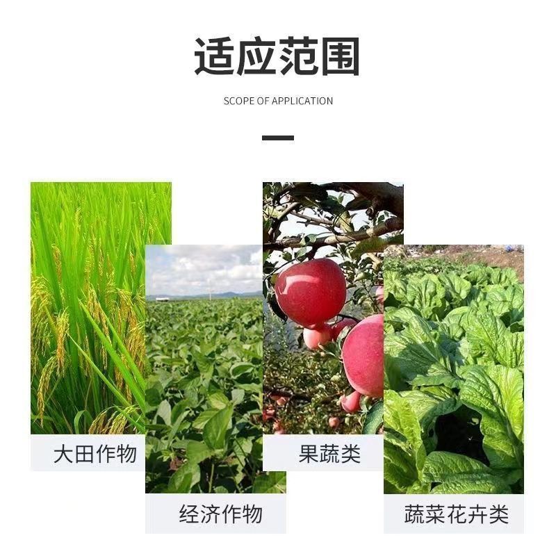 Bacillus subtilis Fusarium wilt Root rot Powdery mildew Ralstonia solanacearum Rust Special sterilization