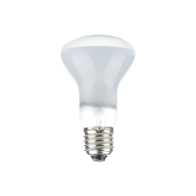 Reptile Climbing Pet Daytime Heating Bulb Frosted Daylight R63 50W