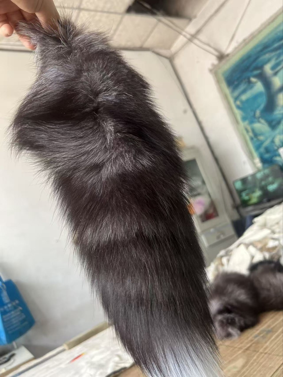 Real Fox Tail Pendant Cos Accessories Pendant Keychain Pendant Jewelry Performance Props Plush Fur Accessories