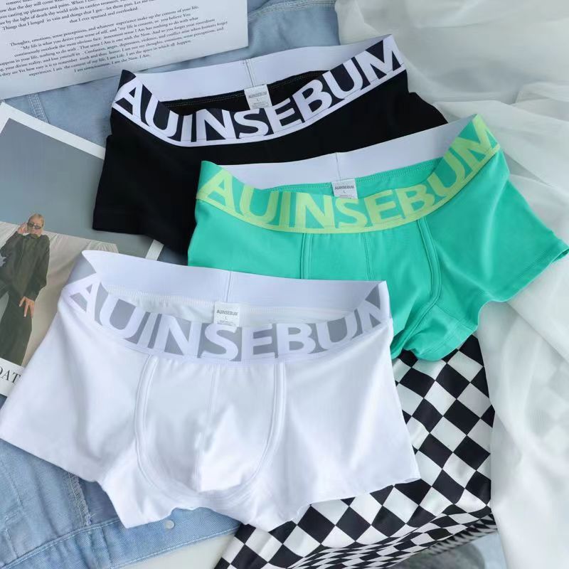 New Product Auinse Youth Men's Underwear Pure Cotton Comfortable Breathable Trendy Men's U Convex Boxer Briefs Sports Style Four Corners