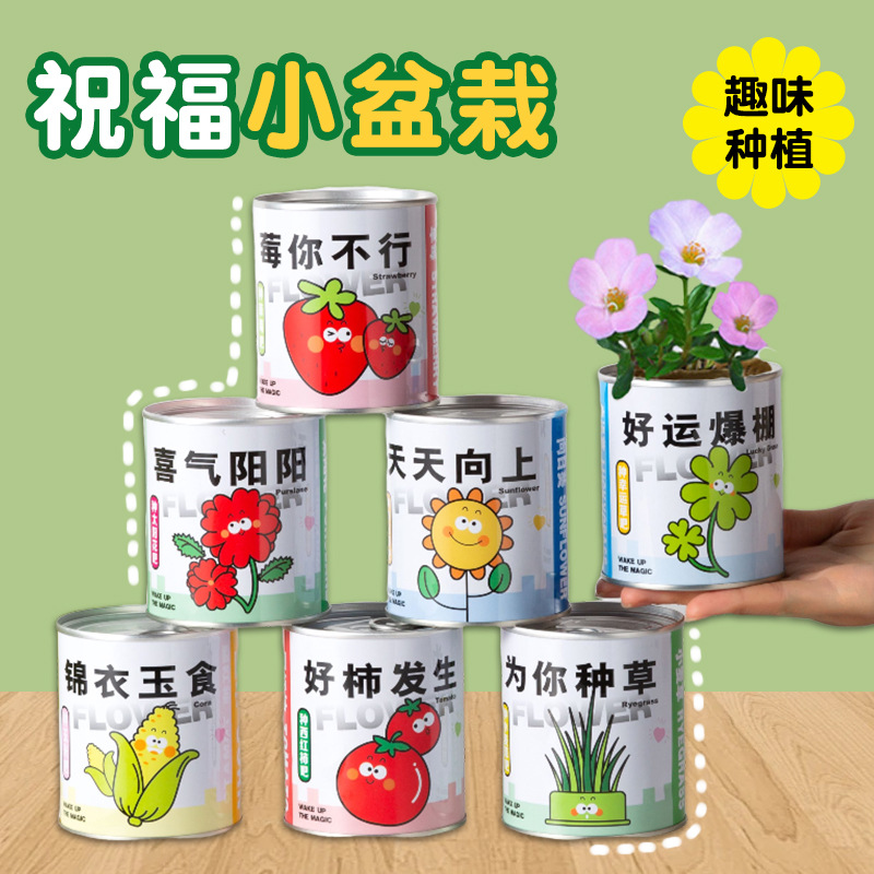 Креативное растение с семенами помидоров для детей DIY подарок