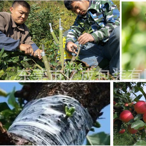 3cm 4cm Grafting Film 5cm 6cm Fruit Tree Garden Film 7cm Small Roll Wrapping Film Stretch Film